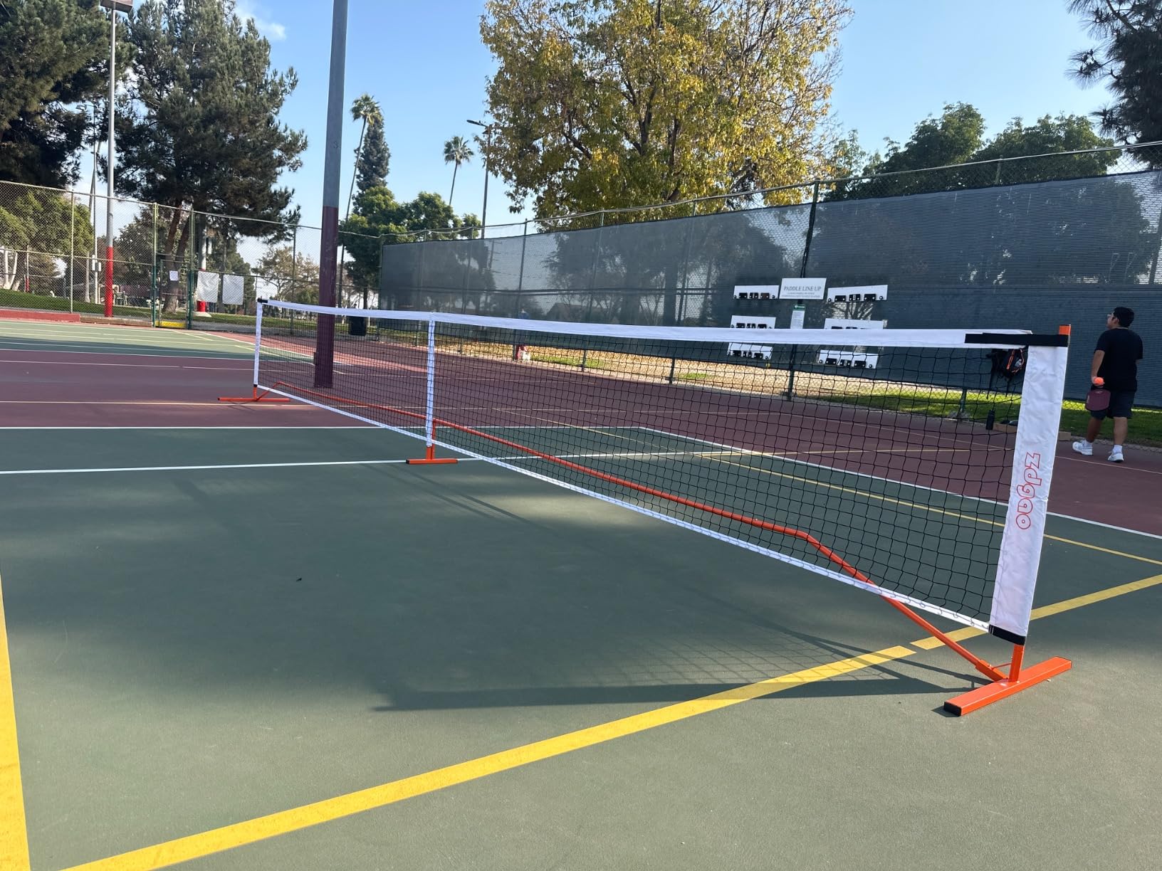 Pickleball net and four paddles with chalk and balls